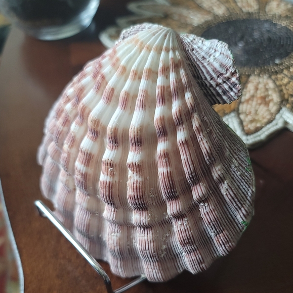 Decorative Pink Shell with Rabbit and Flowers - Picture 6 of 7